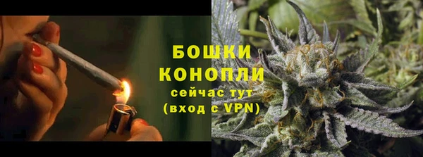 прущие грибы Белоозёрский