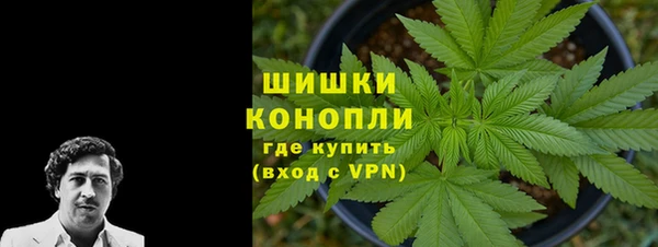 ГАЛЛЮЦИНОГЕННЫЕ ГРИБЫ Беломорск