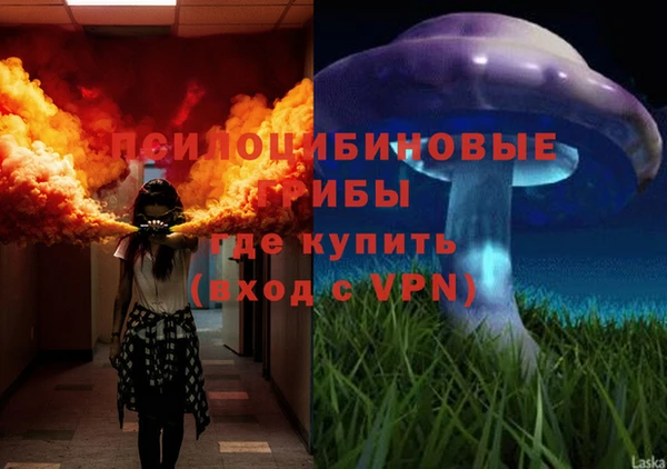 ГАЛЛЮЦИНОГЕННЫЕ ГРИБЫ Беломорск