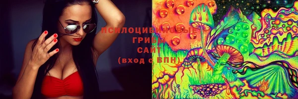 прущие грибы Белоозёрский