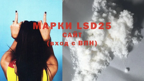 прущие грибы Белоозёрский
